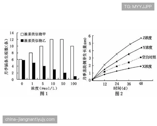 阿尔瓦雷斯的机会转化效率与效率型前锋的成长路径解析